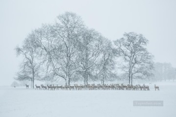 landscape Painting - realistic photography 09 winter landscape deer